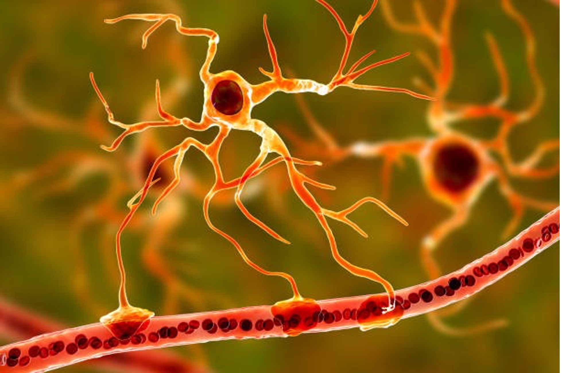 What happens if one day we lose a Neuron?